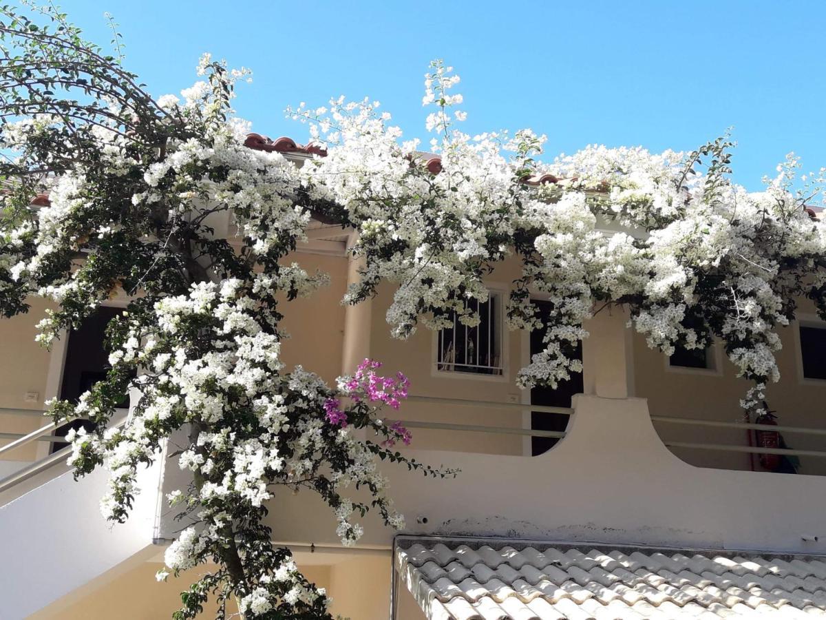 Makis Apartments Arillas  Bagian luar foto